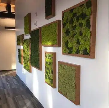 mur végétal mousse intérieur