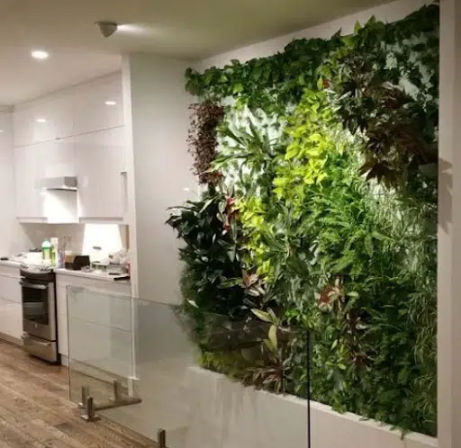 murs verts intérieur de cuisine